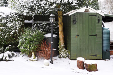 Überleben meine Kompostwürmer, wenn ich den Wurmkomposter auch bei Schnee im Garten habe?