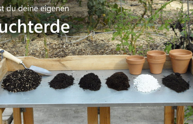 Mit Wurmkompost, Gartenkompost, Kokoserde und Perlit kannst du ganz einfach eine eigenen Anzuchterde mischen.
