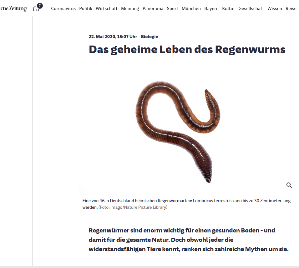 Sueddeutsche_2020-05-23 Das geheime Leben des Regenwurms