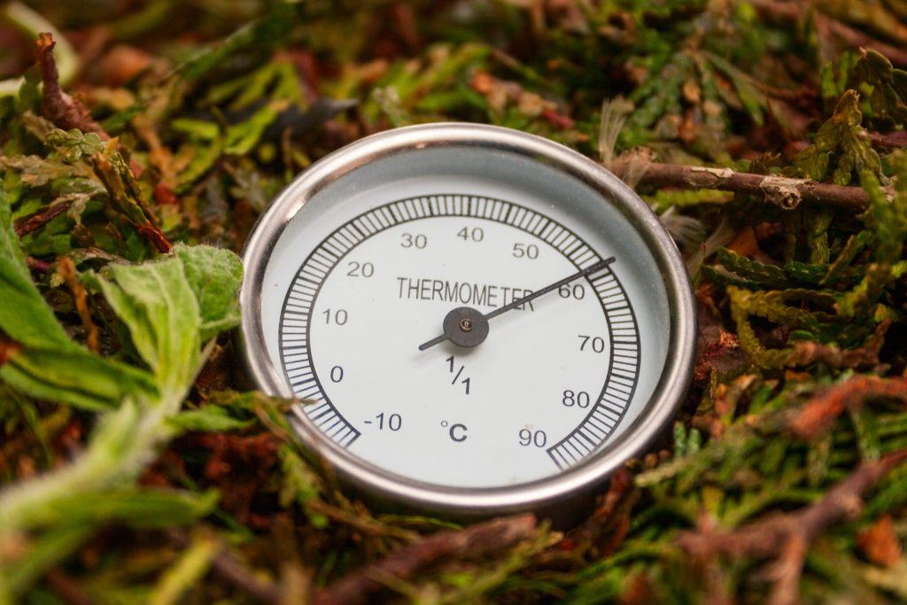 Ein Thermometer zeigt die Temperatur in einem Komposter an.