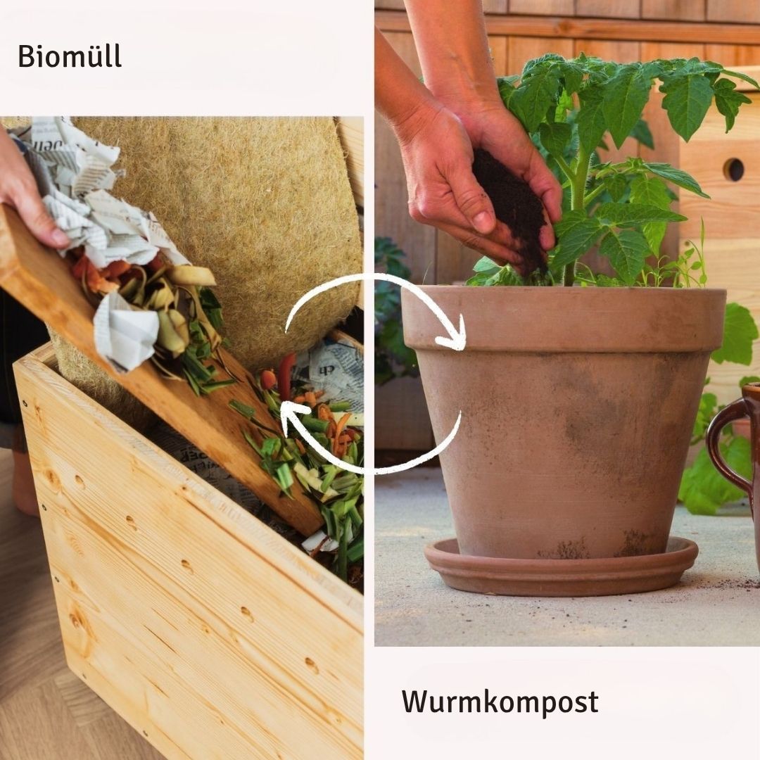 Wurmkiste mit Holzdeckel - Selbstbauset – Bild 7