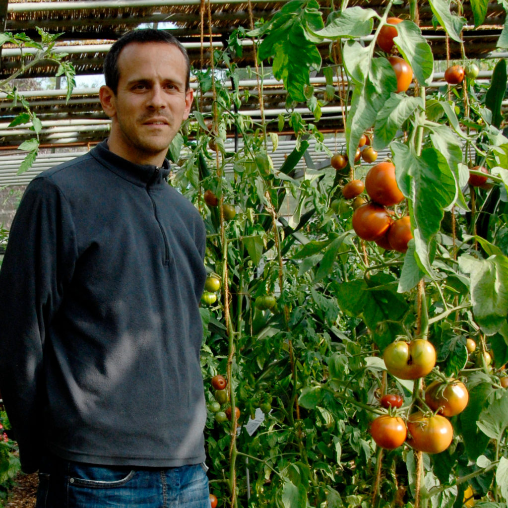 Alain Lavanchy ist der Geschäftsführer der Wurmfarm von wurmkompost.ch
