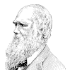 Charles Darwin hat die Wichtigkeit von Kompostwürmern erkannt