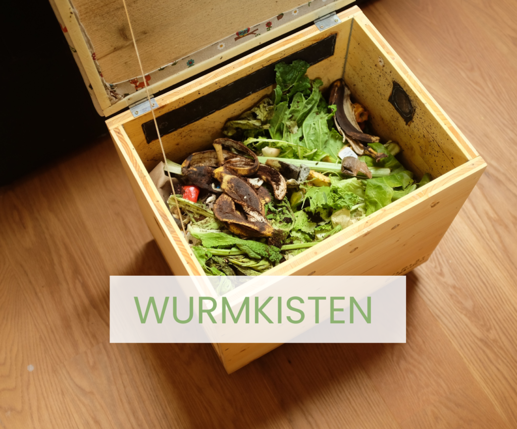 Mit einer Wurmkiste kannst du deinen Bio-Müll einfach zu Hause kompostieren.
