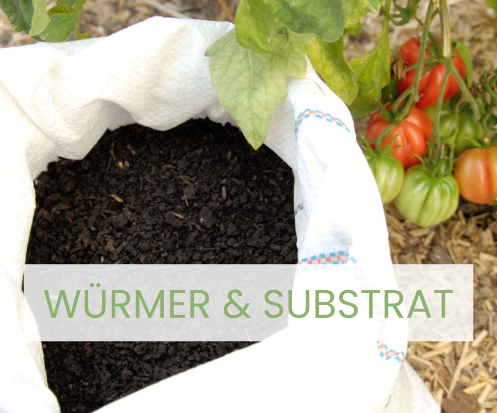 Dank Kompostwürmern wird aus Bio-Abfall ein hochwertiges Erdsubstrat, welches die Pflanzen stärkt und zu hohem Ertrag führt.