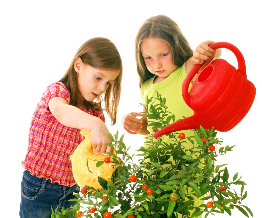 Kinder beim Gießen von Pflanzen mit roter Gießkanne