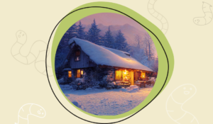 Haus im Schnee als Banner für den Blogartikel: Was machen Regenwürmer im Winter?