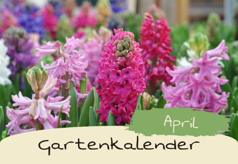Gartenkalender: April