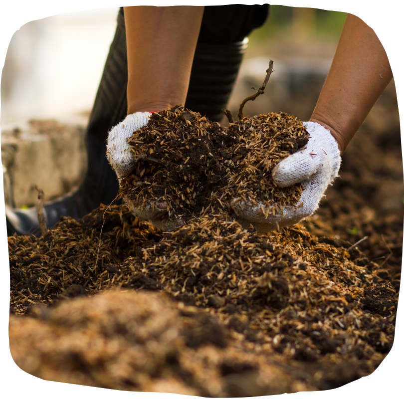 Gartenerde mit Wurmhumus auffrischen