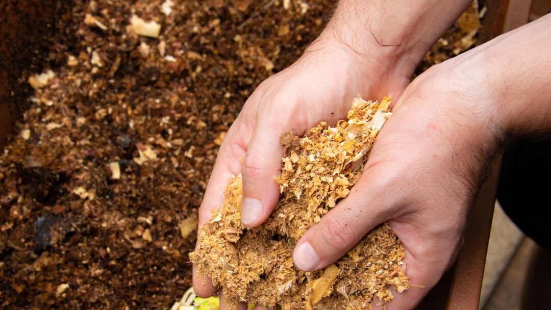 Tipps gegen stinkenden Biomüll biomüll sägespeäne