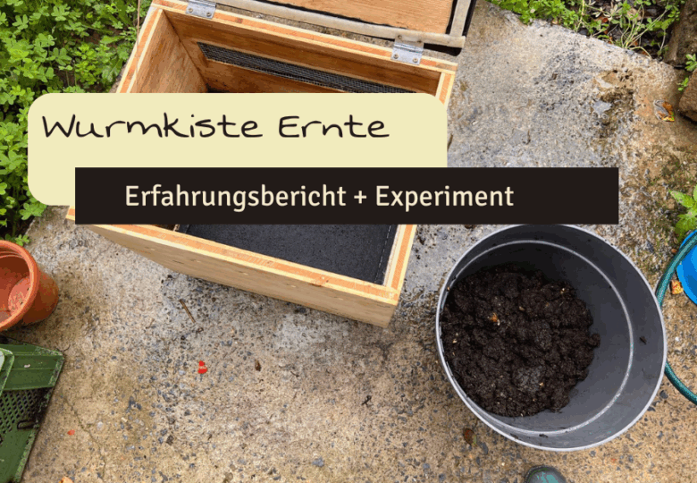 Wurmkiste Ertnte von Wurmhumus