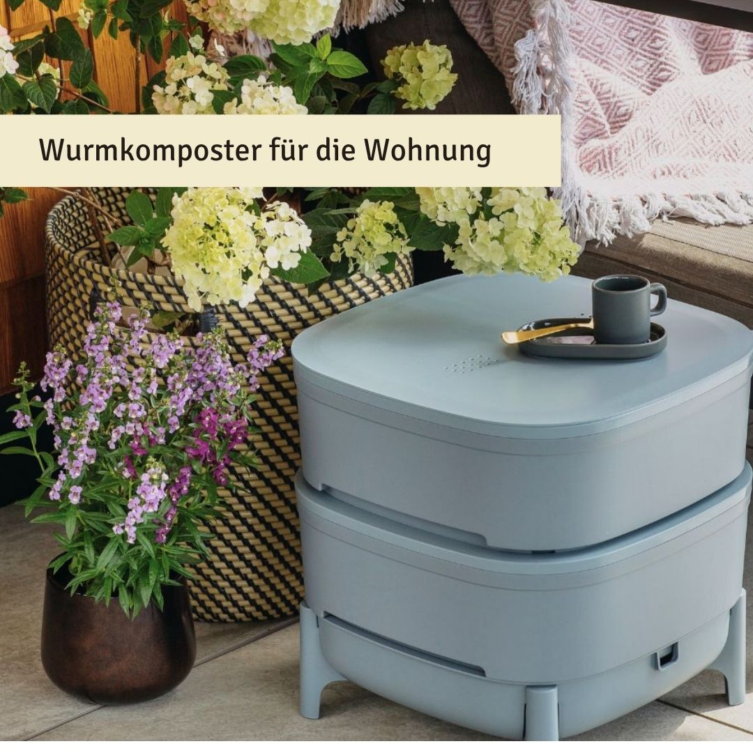 Wurmkomposter in der Wohnung
