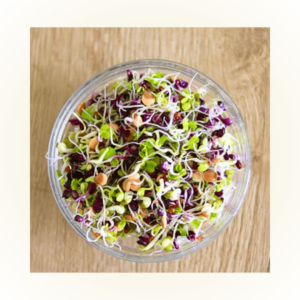 MicroGreens Samen - verschiedenen Sorten
