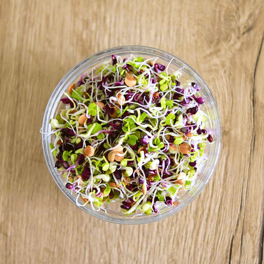 keimgrun-sprossen-Salatmix